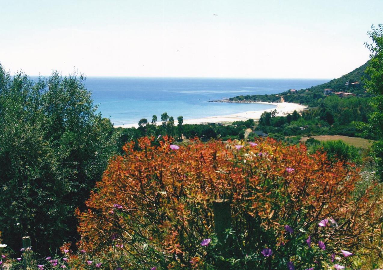 Casa Lentisco D Sardegna Ogliastra Holiday home *